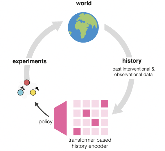 Amortized Active Causal Induction with Deep Reinforcement Learning